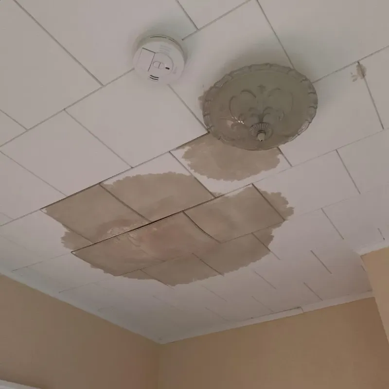 Ceiling Water Damage Repair in Liberty, MO