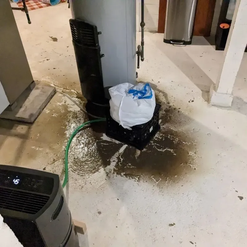 Sewage Backup Cleanup Service in Liberty, MO